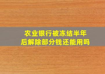 农业银行被冻结半年后解除部分钱还能用吗