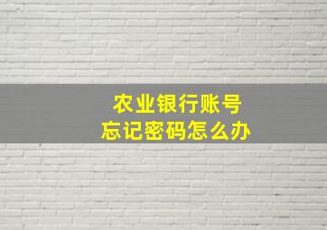 农业银行账号忘记密码怎么办