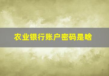 农业银行账户密码是啥