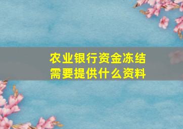 农业银行资金冻结需要提供什么资料