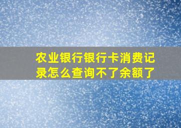 农业银行银行卡消费记录怎么查询不了余额了