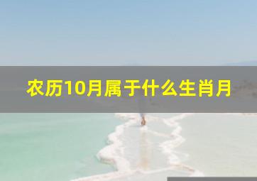 农历10月属于什么生肖月