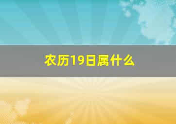 农历19日属什么