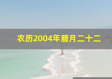 农历2004年腊月二十二