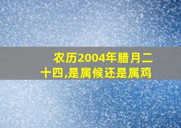 农历2004年腊月二十四,是属候还是属鸡