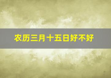 农历三月十五日好不好