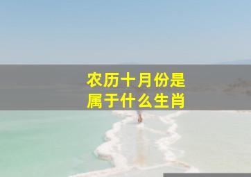 农历十月份是属于什么生肖