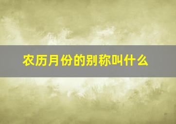 农历月份的别称叫什么