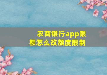 农商银行app限额怎么改额度限制