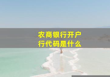 农商银行开户行代码是什么