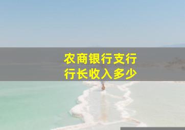 农商银行支行行长收入多少