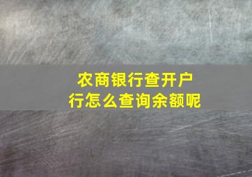 农商银行查开户行怎么查询余额呢