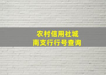 农村信用社城南支行行号查询