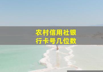 农村信用社银行卡号几位数