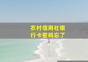 农村信用社银行卡密码忘了