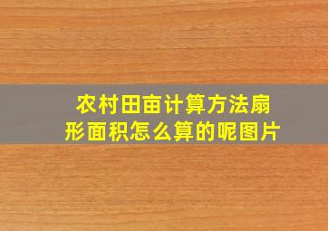 农村田亩计算方法扇形面积怎么算的呢图片