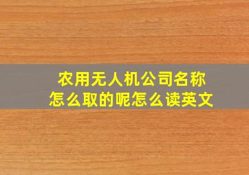 农用无人机公司名称怎么取的呢怎么读英文