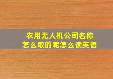 农用无人机公司名称怎么取的呢怎么读英语