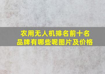 农用无人机排名前十名品牌有哪些呢图片及价格