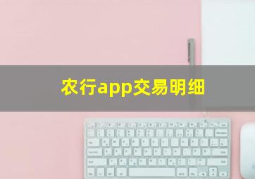 农行app交易明细