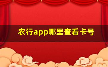 农行app哪里查看卡号