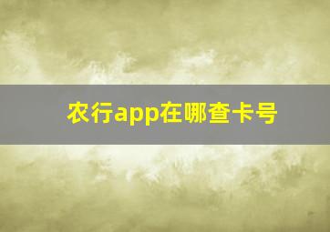 农行app在哪查卡号