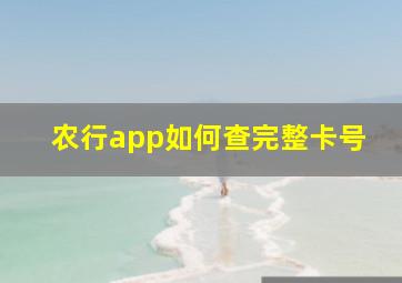 农行app如何查完整卡号