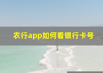 农行app如何看银行卡号