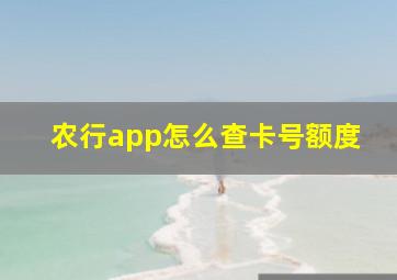 农行app怎么查卡号额度