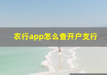 农行app怎么查开户支行