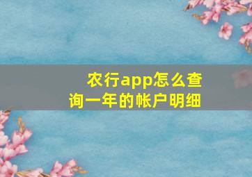 农行app怎么查询一年的帐户明细