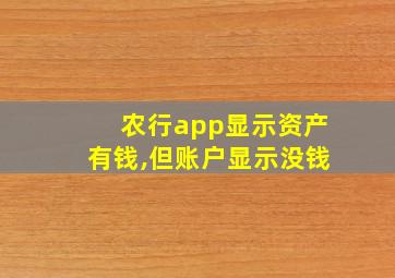 农行app显示资产有钱,但账户显示没钱