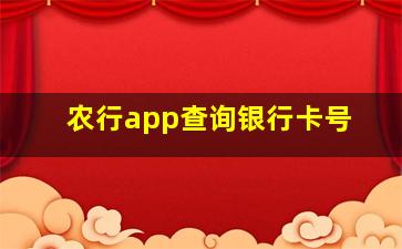 农行app查询银行卡号