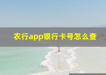 农行app银行卡号怎么查