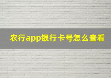 农行app银行卡号怎么查看