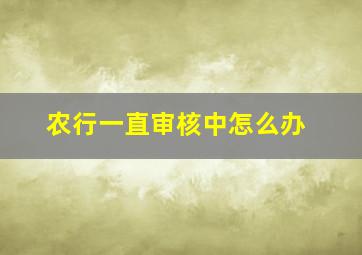 农行一直审核中怎么办