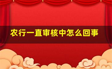 农行一直审核中怎么回事