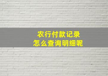 农行付款记录怎么查询明细呢