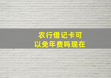 农行借记卡可以免年费吗现在