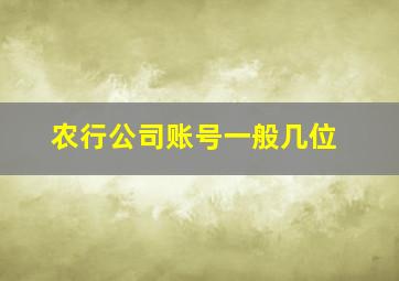 农行公司账号一般几位