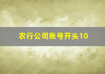 农行公司账号开头10