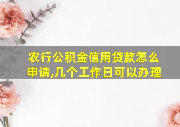 农行公积金信用贷款怎么申请,几个工作日可以办理