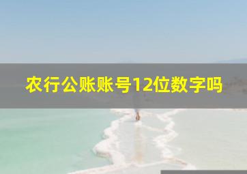 农行公账账号12位数字吗