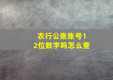 农行公账账号12位数字吗怎么查