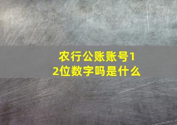 农行公账账号12位数字吗是什么