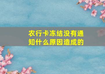 农行卡冻结没有通知什么原因造成的