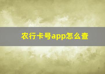 农行卡号app怎么查