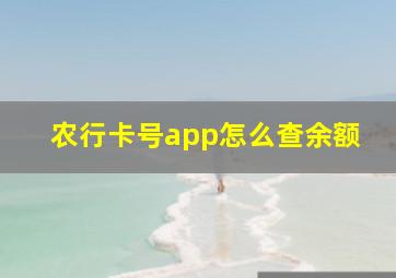 农行卡号app怎么查余额