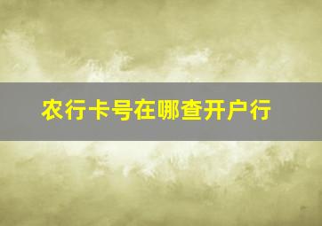 农行卡号在哪查开户行