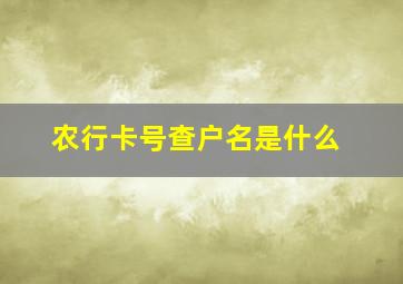 农行卡号查户名是什么